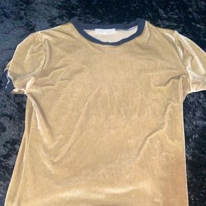 Gold velvet crop T-shirt